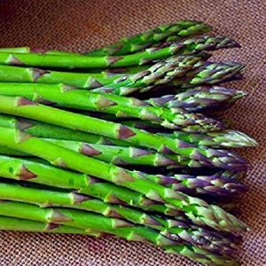 Asparagus officinalis (P9)