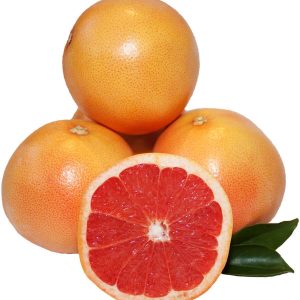 Citrus x paradisi 'Star Ruby'