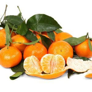 Citrus x clementina