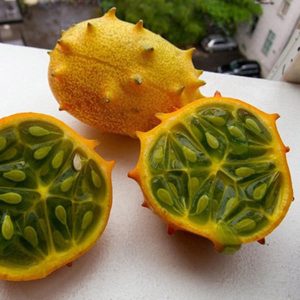 Cucumis metuliferus (zaden)