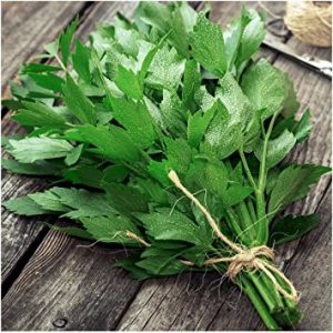 Levisticum officinale (zaden)