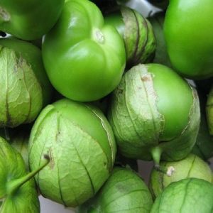 Physalis ixocarpa (zaden)